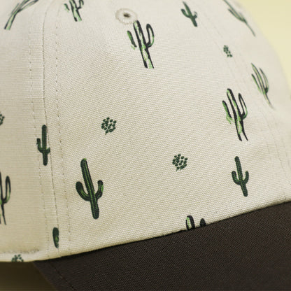 Cactus Sunset